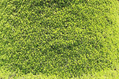 《F1 23》PC版配置需求公布 支持VR＆光追